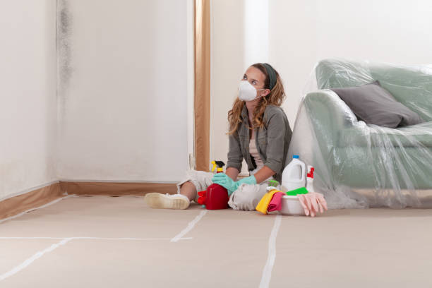Reliable Mold Inspection contractor in Canton, GA by WQB Mold Removal